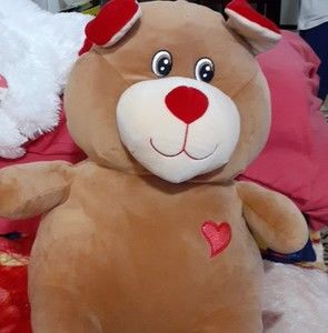 Meet your Posher, Lion